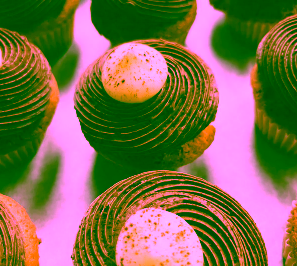 Newsletter #4 | The East Coast Is All Onboard With The Busy Season! - - Metrobi