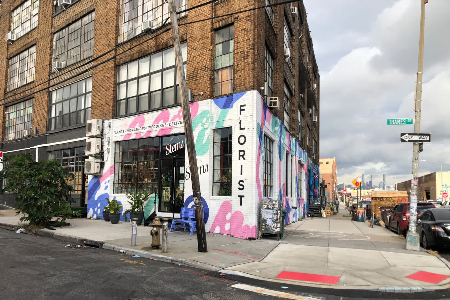Stems Brooklyn - Stems Brooklyn - Stems Brooklyn - Stems Brooklyn -