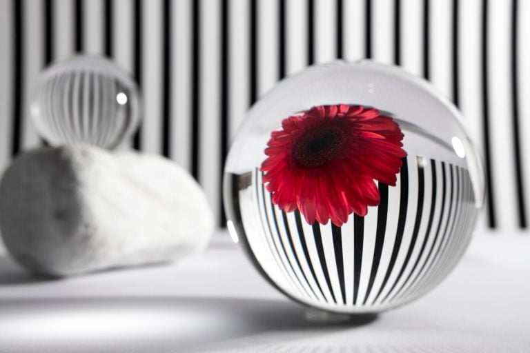 Unique Flower Options: A Guide To Standing Out In Business - Unique Flower - Unique Flower Options