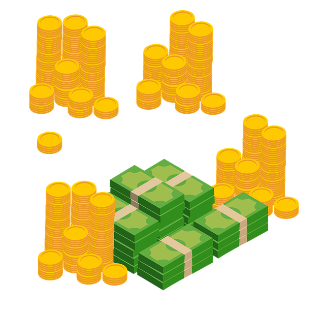 Net Cash Flow