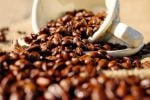 Best Coffee Beans In The World