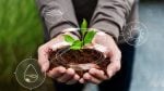 sustainable farming practices