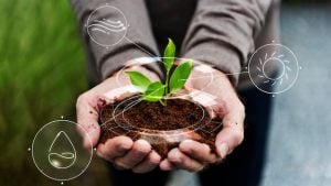 sustainable farming practices