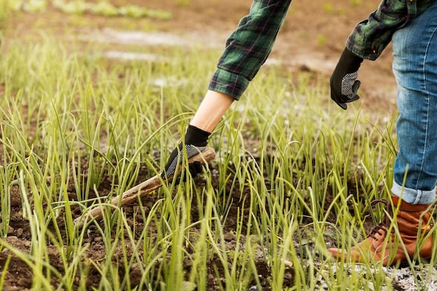 10 Sustainable Farming Practices For A Greener Future - Sustainable Farming Practices - Sustainable Farming Practices