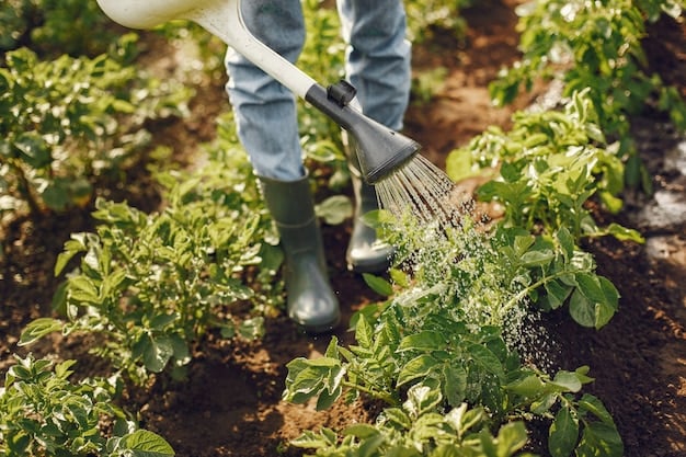 10 Sustainable Farming Practices For A Greener Future - Sustainable Farming Practices - Sustainable Farming Practices