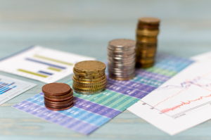 Capital Expenditures