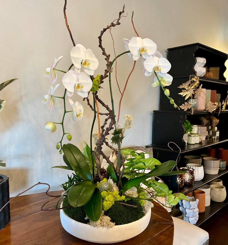Floral Matters - Floral Matters -