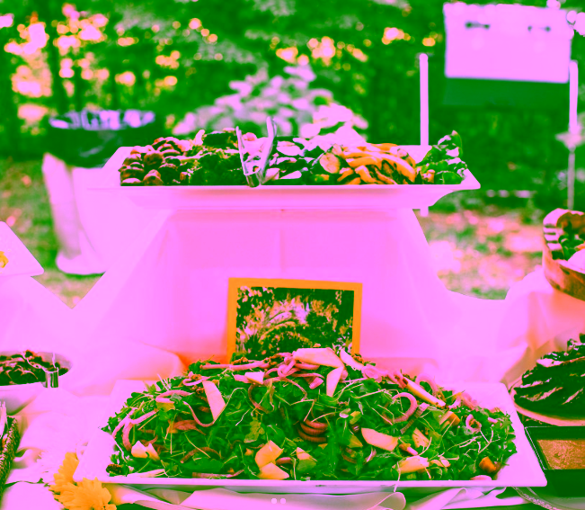 Deluxe Catering - Deluxe Catering - Metrobi