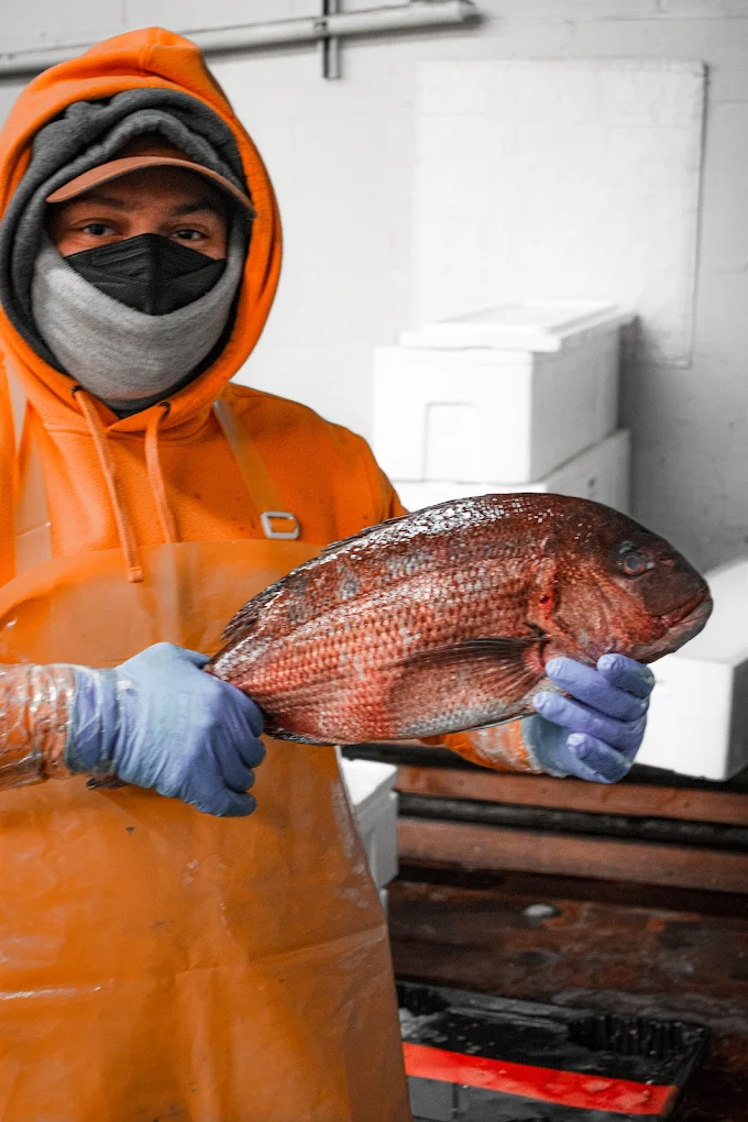 Yama Seafood - Yama Seafood -