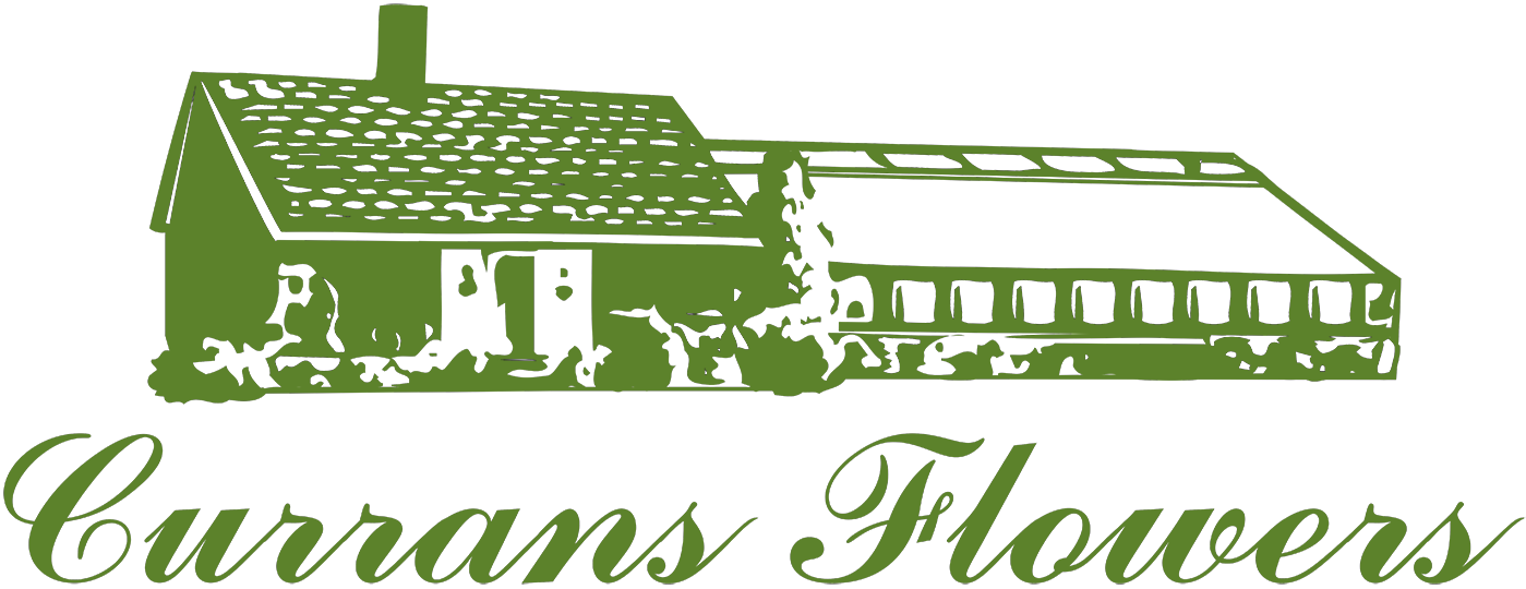 Currans Farms's logo, one of Metrobi's top customers in the florist industry.