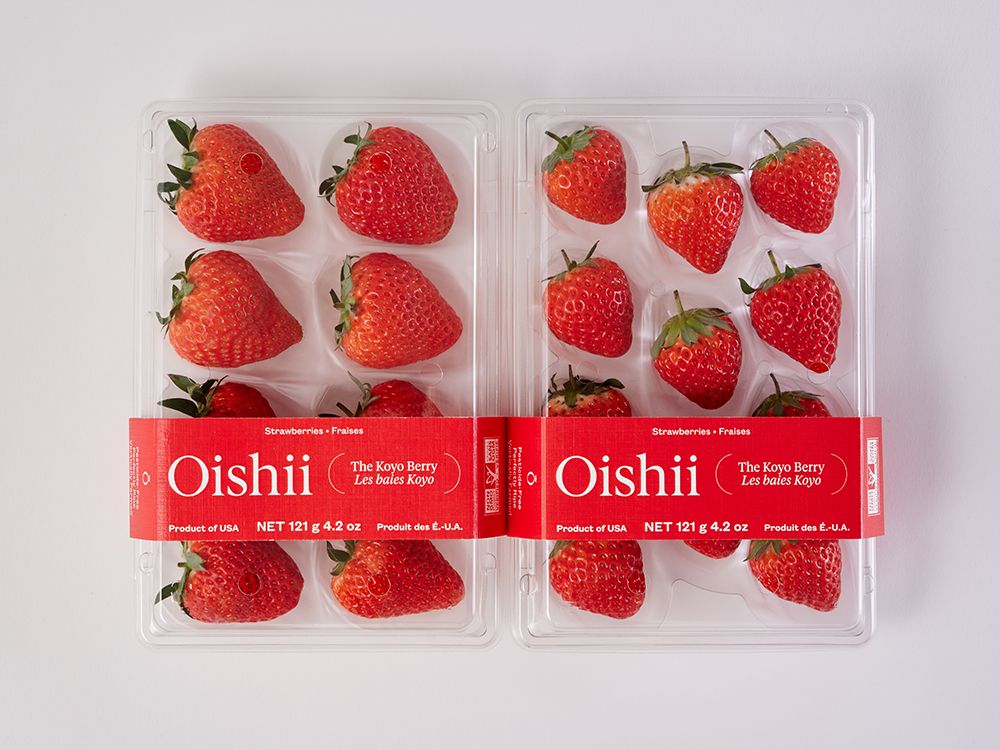 Oishii - Oishii - Metrobi