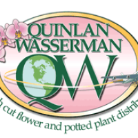 Logo (1) Logo (1)
