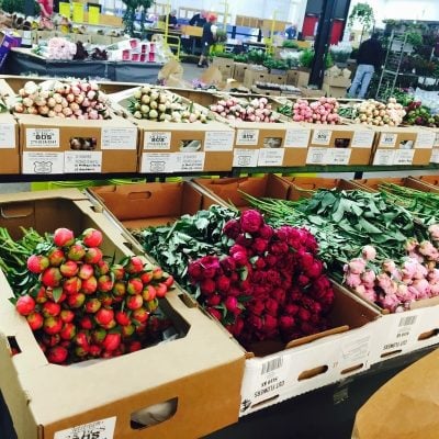 Quinlan-Wasserman-Showroom-2 Quinlan-Wasserman-Showroom-2